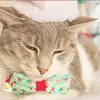 jerry_kerry10 - @jerry_kerry10 - TikTok