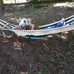 Jerry Keyes - @mr.howmuch - Instagram