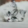 jerrykho299083 - @jerrykho299083 - TikTok