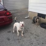 Jerry Kincade - @jshizzledizzle - Instagram