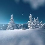 elga jerry kirsch - @jerrykirsch22 - Instagram