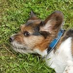 Jerry Kirsch - @kipsch12 - Instagram