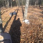 Jerry Kirsch, Jr. - @jr.jerrykirsch - Instagram