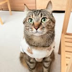 🤎𝙹𝚎𝚛𝚛𝚢(‍ ‍♀️)🤎 - @jerry_kittyy - Instagram