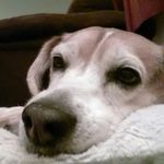 Jerry Knack - @jerry.knack - Instagram