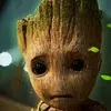 Jerry.knecht - @jerry.knecht - TikTok