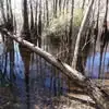 Jerry Knoch - @jerry.knoch - TikTok