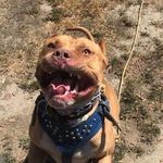 Jerry Knox - @jerryknox84 - Instagram