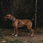 jerry knox - @knox363 - Instagram