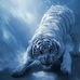 Jerry Knox - Facebook