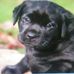 Jerry Knox - Facebook