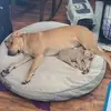 Jerry Kohn - @jerry.kohn - TikTok