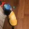 Jerry - @jerry.2kool4u - TikTok