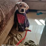jerry Kulkarni - @jerry.kool05 - Instagram
