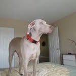 Jerry Koonce - @jerrykoonce - Instagram