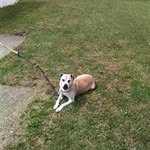 Jerry Koontz - @jerry.koontz.359 - Instagram