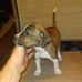 Jerry Kosier - Facebook