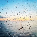 Jerry Kovach - @kovach.jerry - Instagram