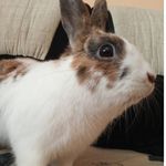 @jerry_kralicek - Instagram