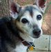 Jerry Krall - Facebook