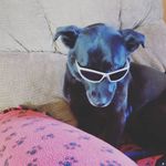 Jerry Kralovetz - @jerrykralovetz - Instagram