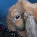 kralik Jerry - @kralikjerry - Instagram
