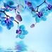 Gerald G Kranz - Facebook