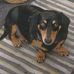 Jerry Krieger - Facebook