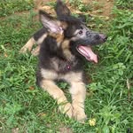 Jerry krishnan - @jerry_krishnan - Instagram