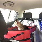 Jerry Kroon - @jxk51 - Instagram