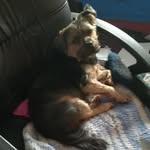 Jerry und Krümel ❤️ - @jerryundkruemel - Instagram