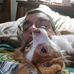 Gerald Kruse - Facebook