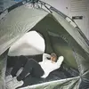 Jrax - @jerrykung355 - TikTok