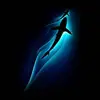 Jerry Kuo - @2169939906 - TikTok