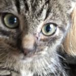 Jerry Kuster - @jk_jerry - Instagram