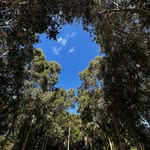 JerryKwong - @jerry_kwong_ - Instagram