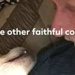 Jerry Lachowsky - @jerrylachowsky - Instagram