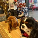 J&L - @jerry.and.lady - Instagram