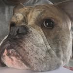 Jerry Lagoutaris - @jerrylagoutaris - Instagram