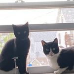 Jerry and Elaine - @jerry.lainy - Instagram