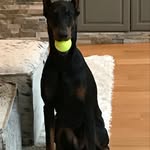 Jerri Lamson - @jerri.lamson - Instagram