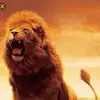 SELAH MUSIC EMPIRE - @jerry_lance - TikTok