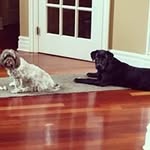Jerry Langer - @langerjerry - Instagram
