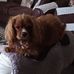 Gerry Langlois - Facebook