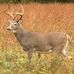 Jerry Laroche - Facebook