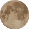 Jerald! - @jerry.larry01 - TikTok