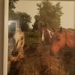 Jerry Latimer - Facebook