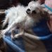 Jerry Lauderback - Facebook