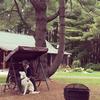 Jerryleo_ - @jerryleo_ - TikTok