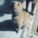 Jeffree Feng - @jerry_leung_wuu - Instagram